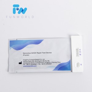 Norovirus (GⅠ/GⅡ) Rapid Test Device (Feces)